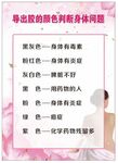 足浴养生