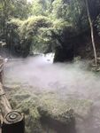 川西竹海 