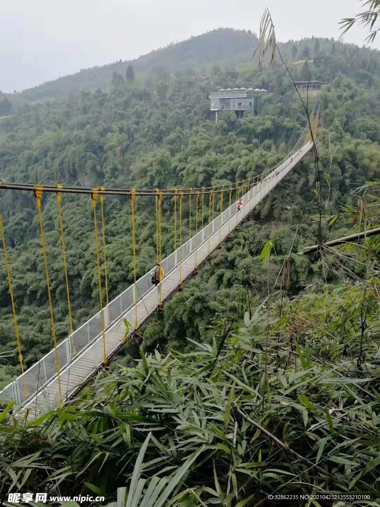 竹海  