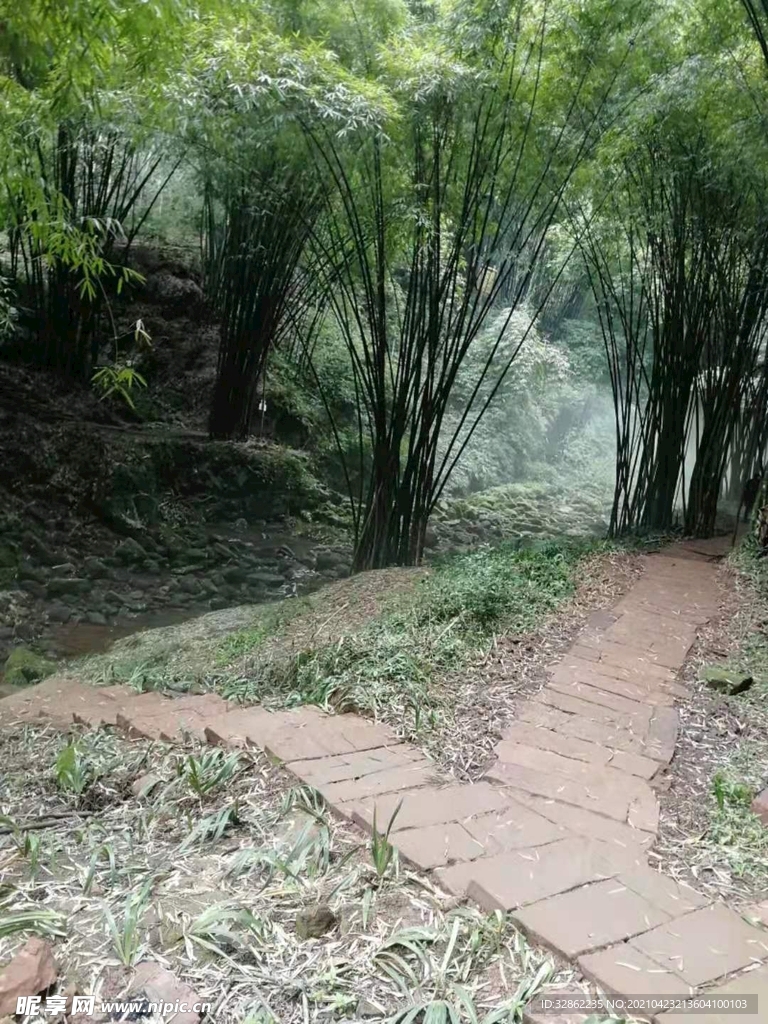 竹海
