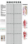体资体态评估系统图示