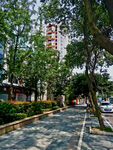 成都电信南街街景