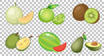热带水果图