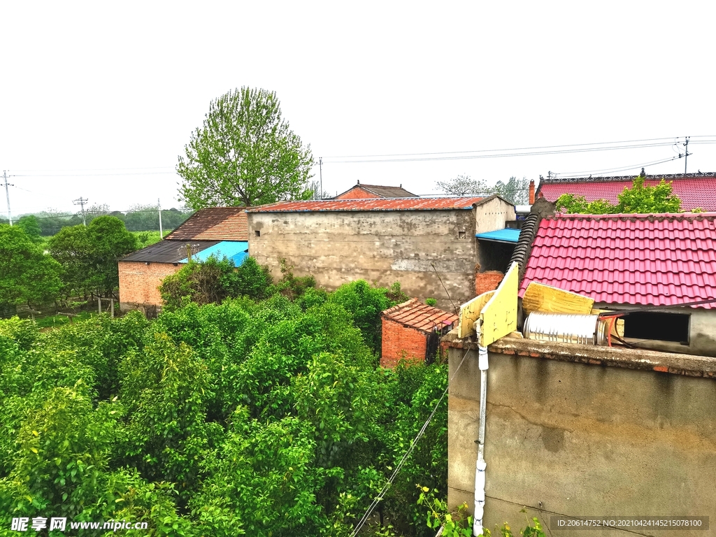 美丽的乡村风景