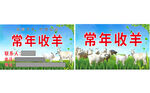 养殖畜牧现代简约名片设计