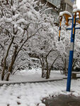 雪景壁纸 