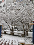  冬季雪景