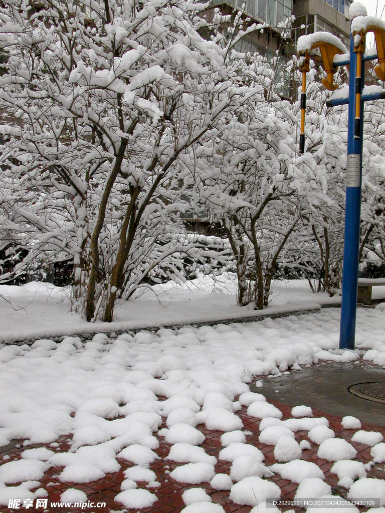 冬季雪景