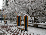 积雪