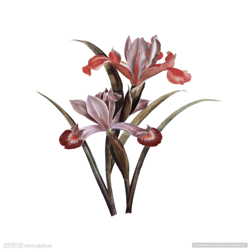 花