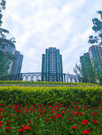 绿色园林