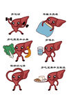 肝脏矢量图