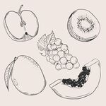 水果 蔬菜          