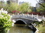 城市公园 