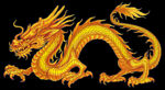 龙