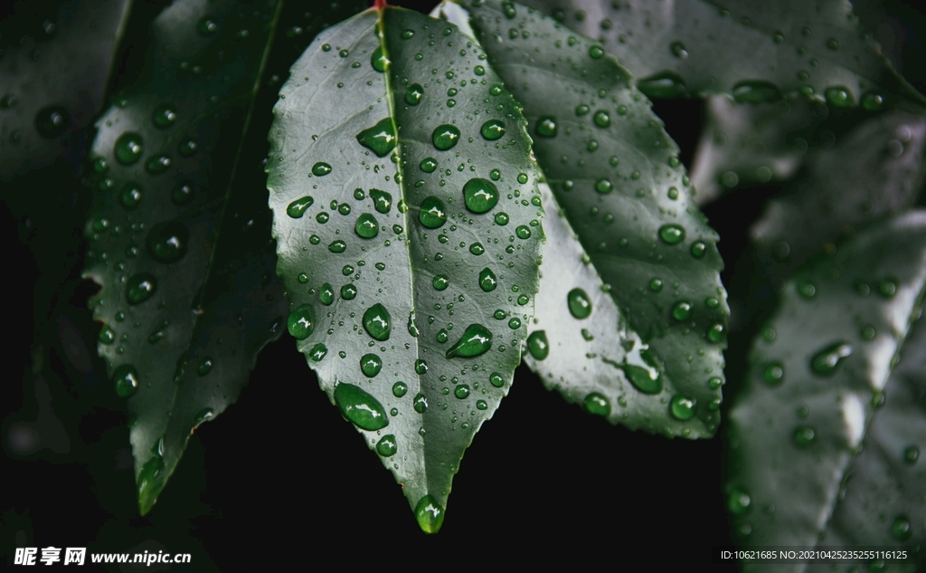 下雨             