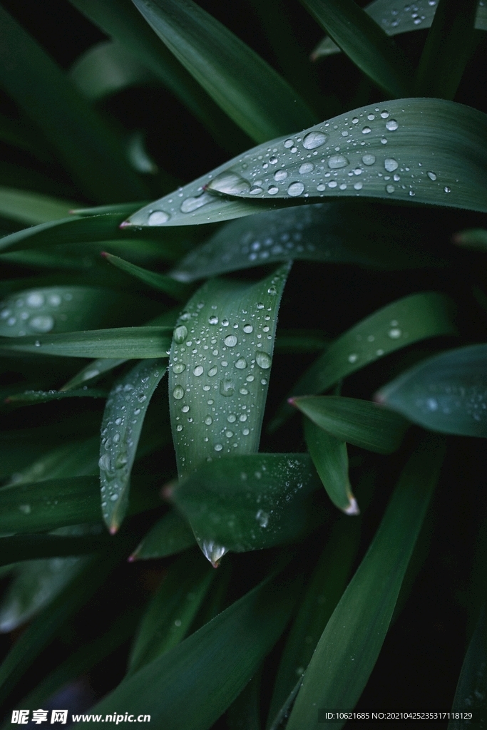 下雨             