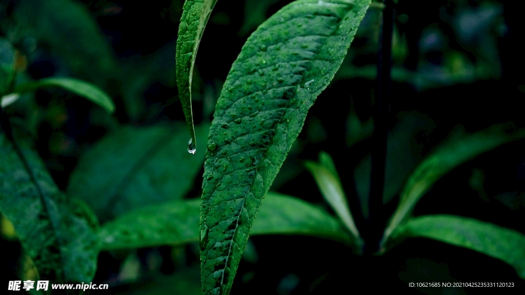 下雨             