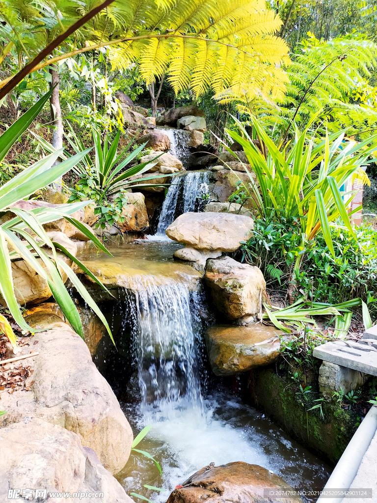 植物园小溪风景