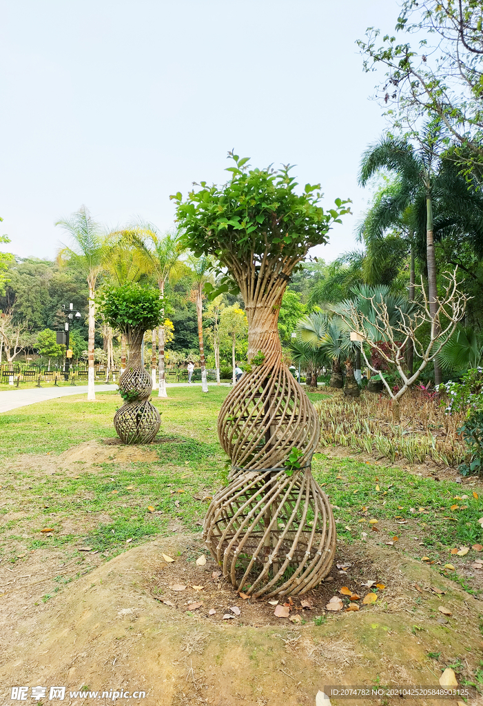 惠州植物园风景一角