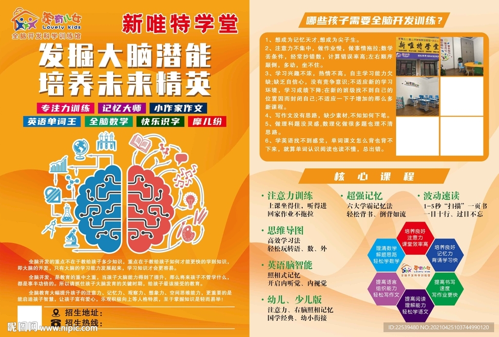 发掘大脑潜能 智力开发