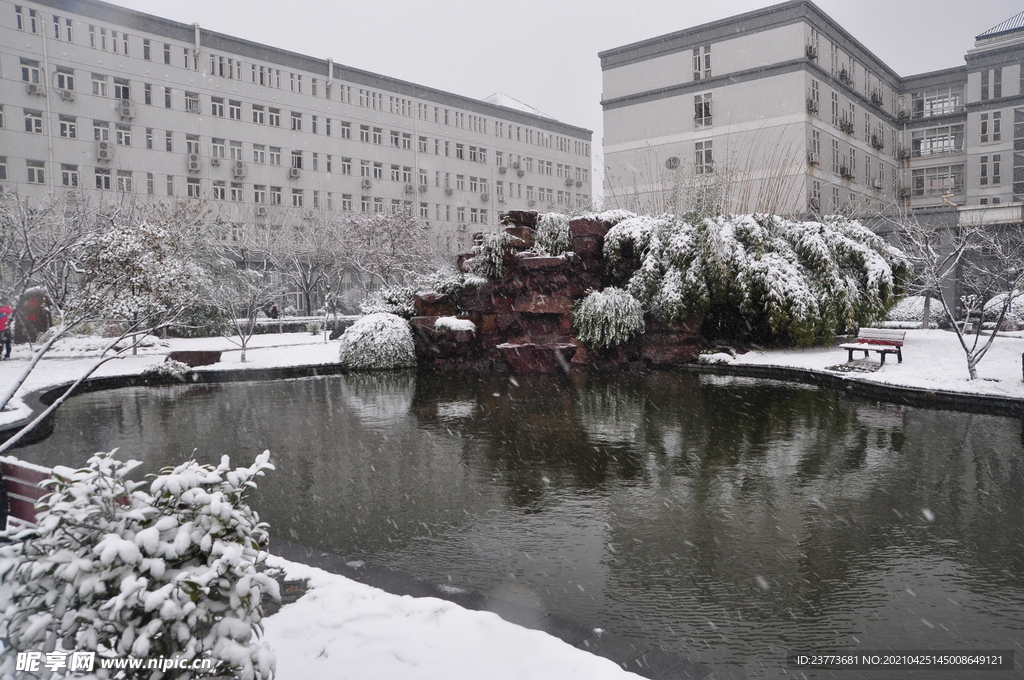 中医药雪景