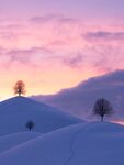 冬天雪景