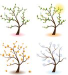 四种季节树木