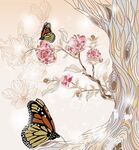 蝴蝶花卉画稿