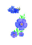 亚麻籽油花  