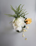 鲜花