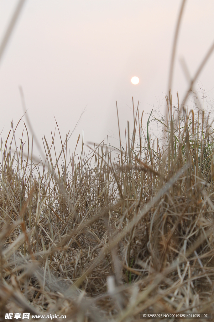 夕阳下的秸秆 