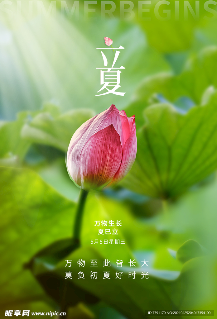 立夏 