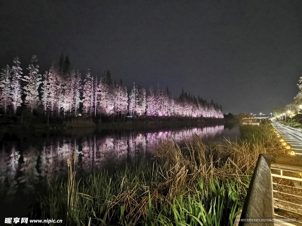 泰州凤城河灯光夜景