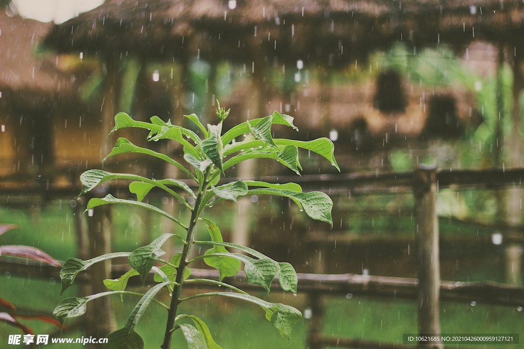 下雨             