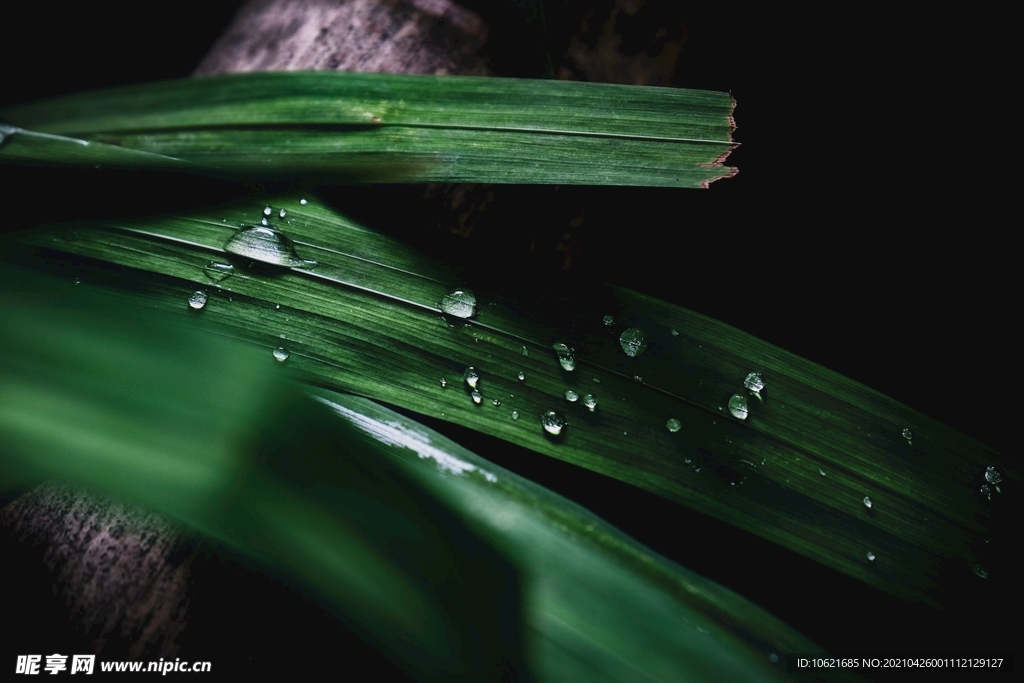 下雨             