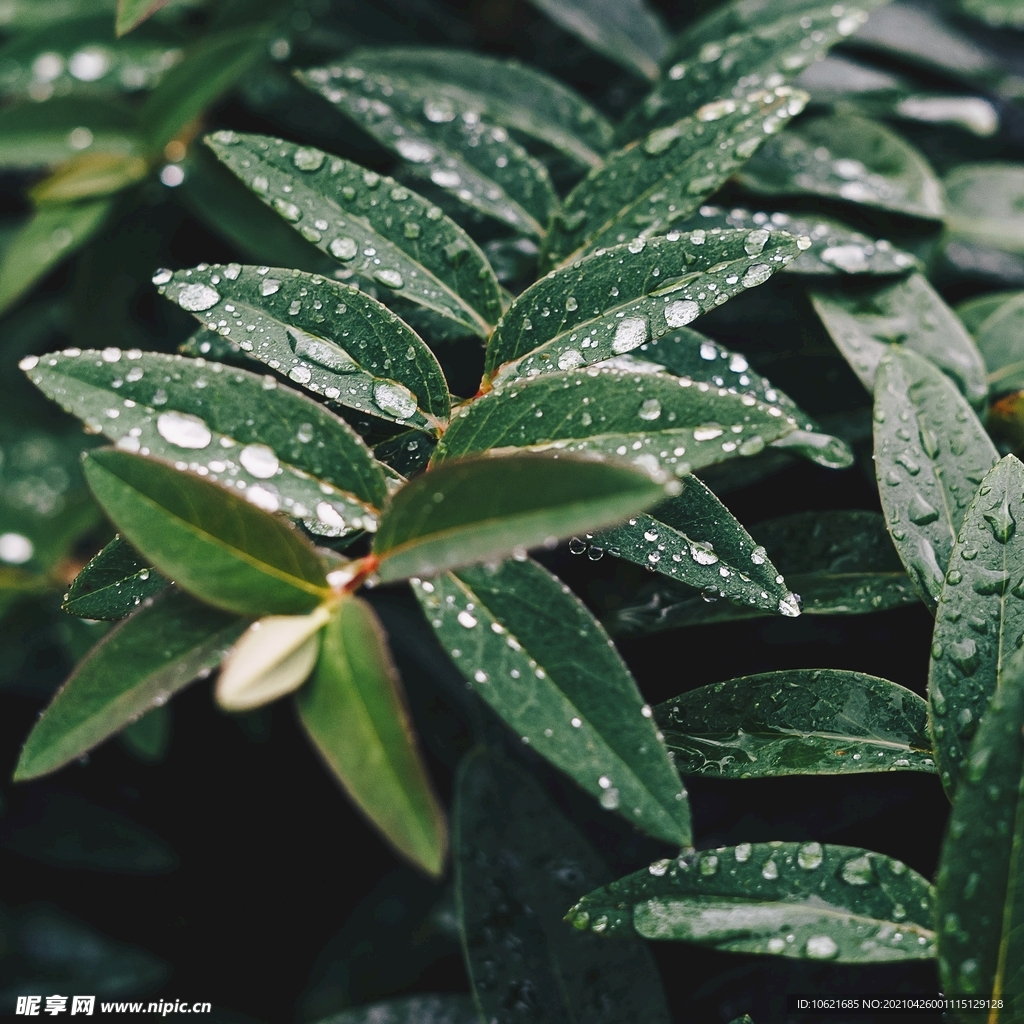 下雨             