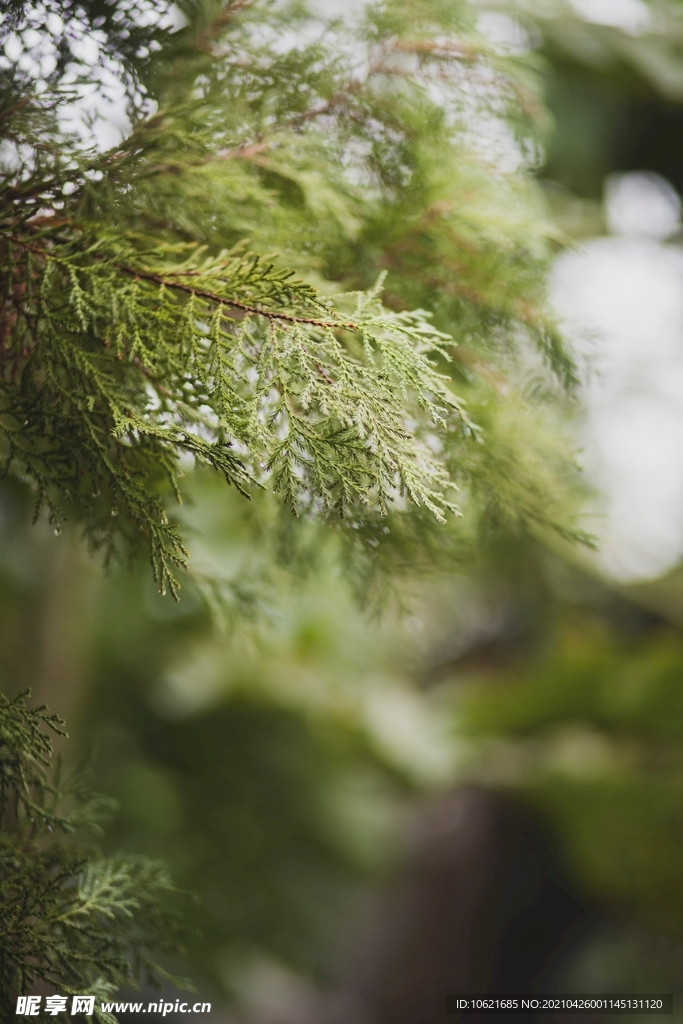 下雨             