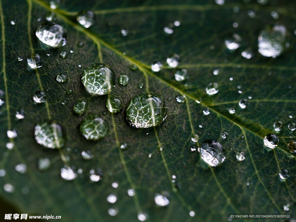 下雨             