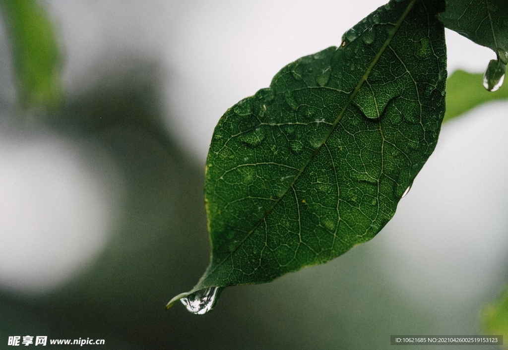 下雨             