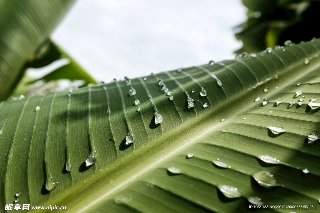 下雨             