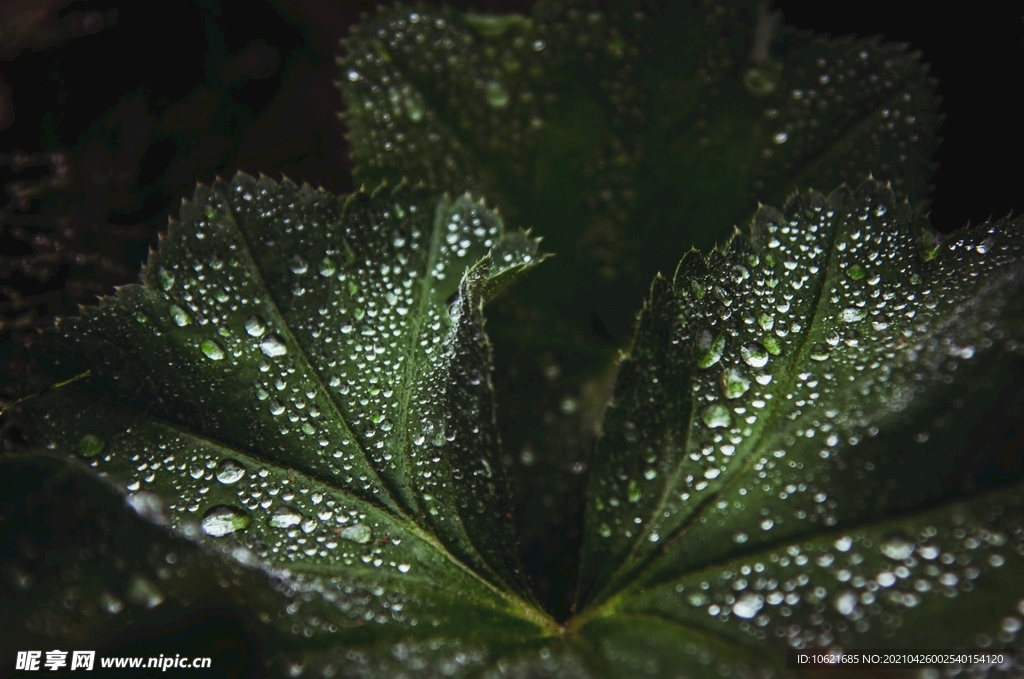 下雨             