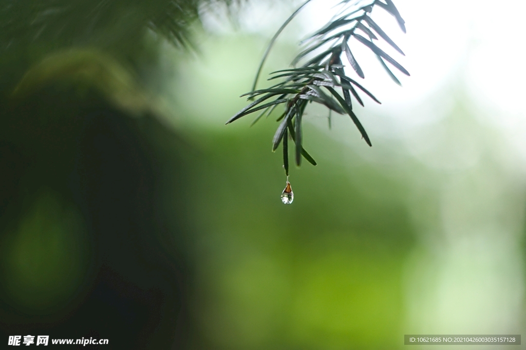 下雨             