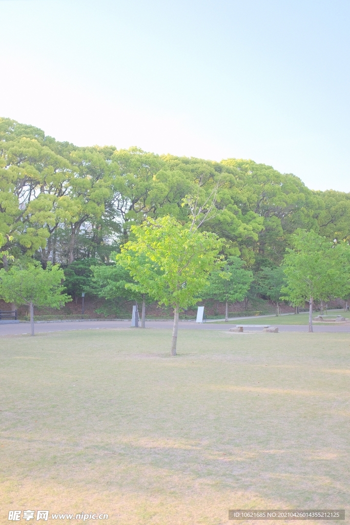 公园             