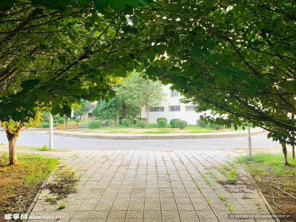 公园             