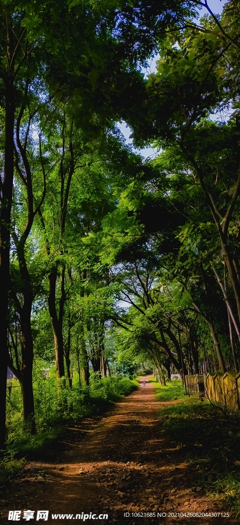 公园             