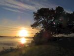 奥克兰海滨夕阳风景