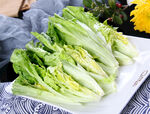 生菜