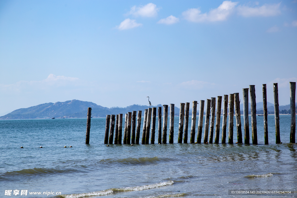 风景