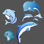 海豚 